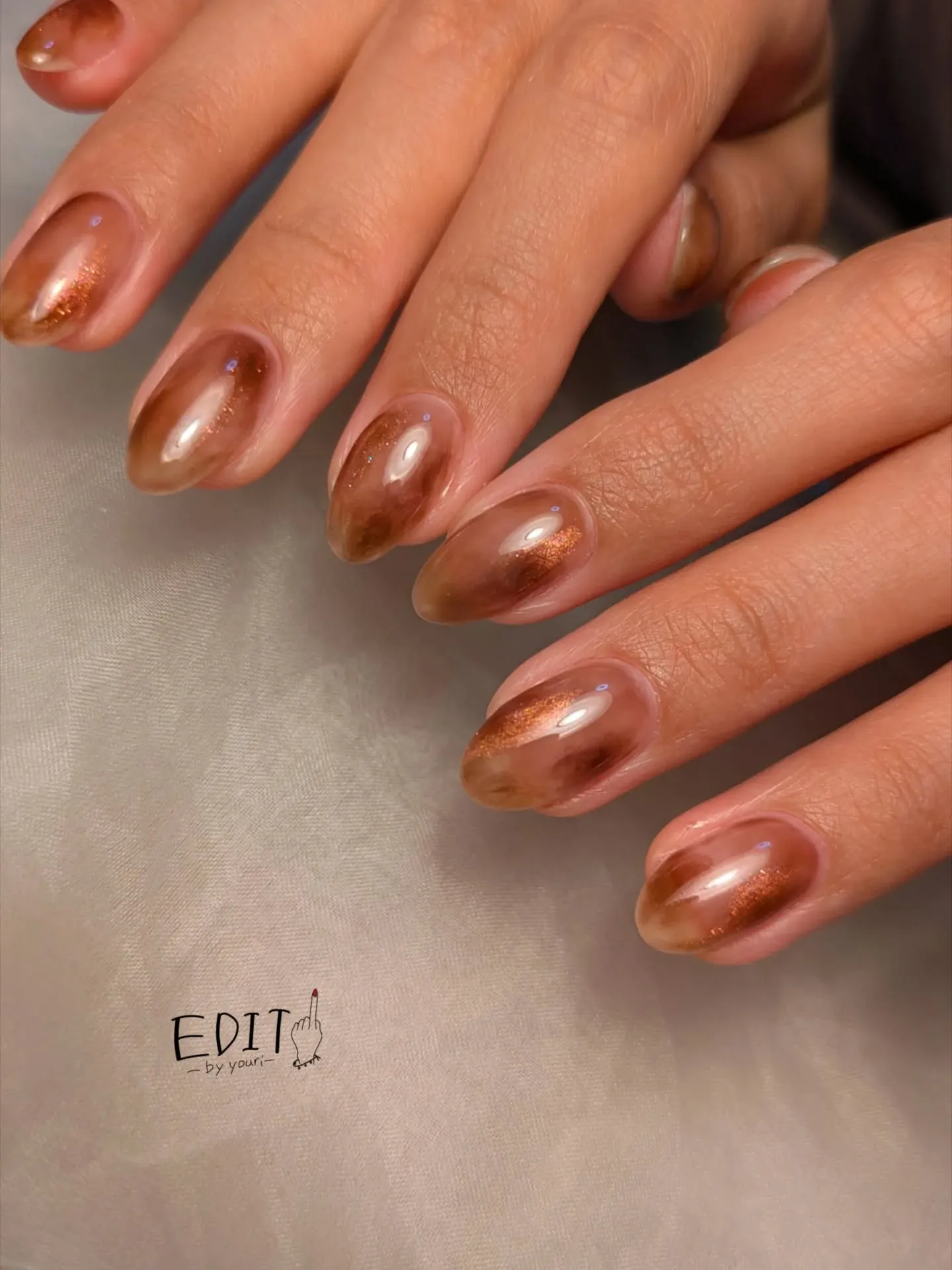 マグネットべっ甲🧲🐢🍁🍂