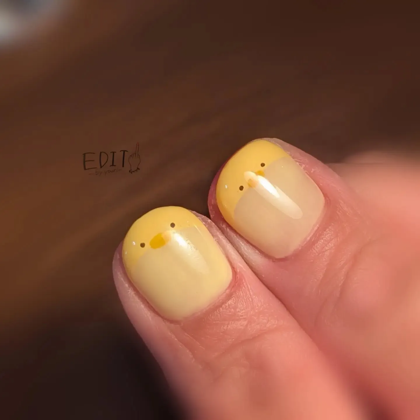ひよこ🐣‪の兄弟可愛かったです🌼⋆͛🦋⋆͛🌼⁡