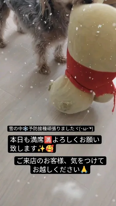 #看板犬のいるお店 ⁡