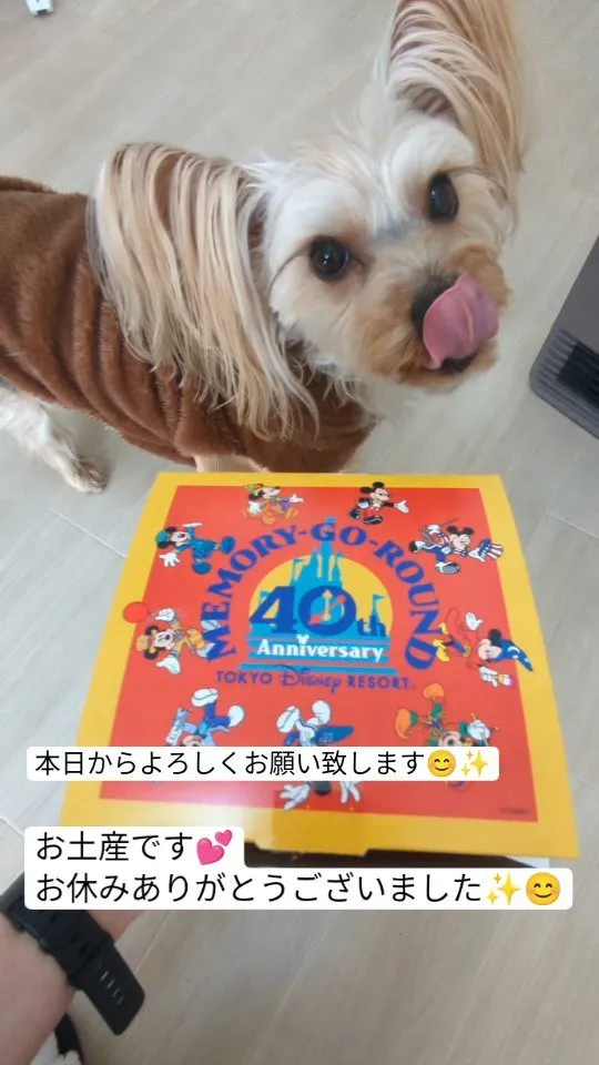 #看板犬のいるお店 ⁡