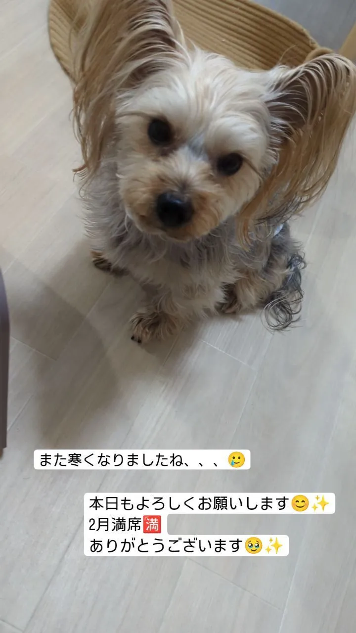 #看板犬のいるお店 