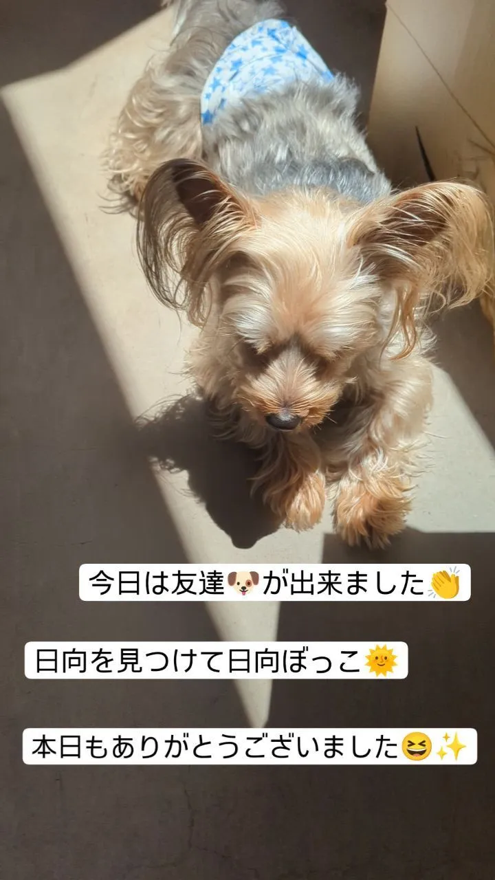 #看板犬のいるお店 #小倉ネイルサロン