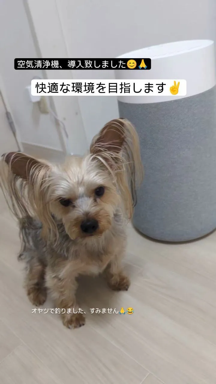 #看板犬のいるお店 