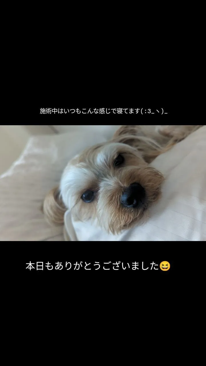 #看板犬のいるお店 