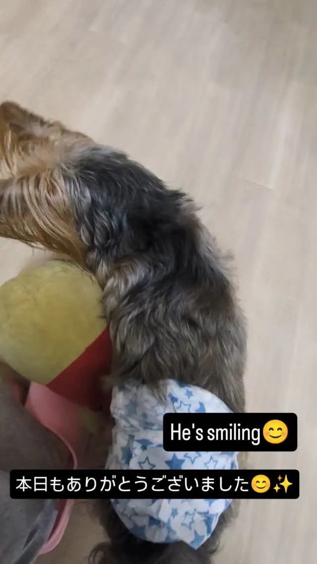 #看板犬のいるお店