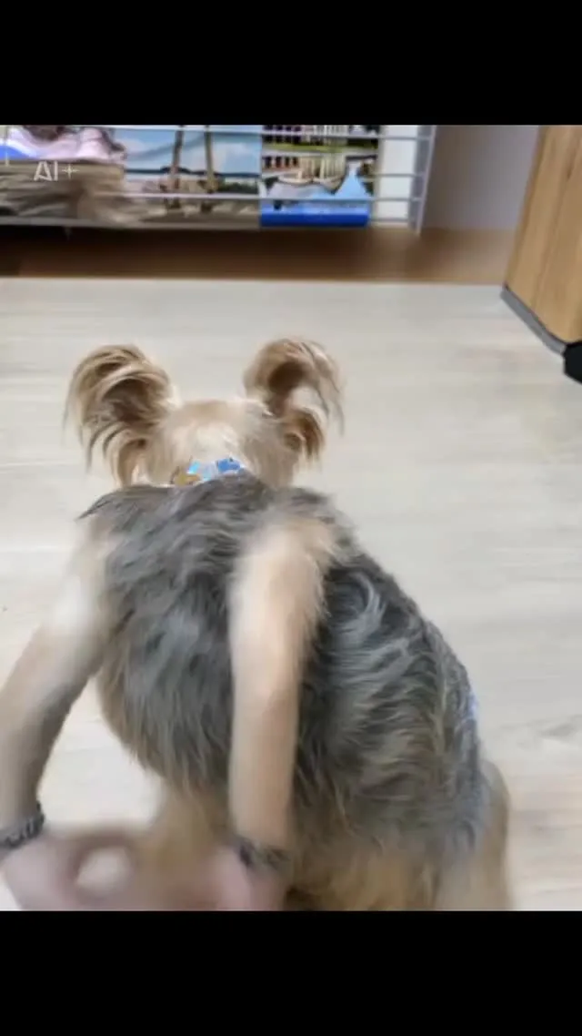 AI these days is scary 😂